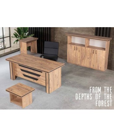 Cassana Office Executive Set